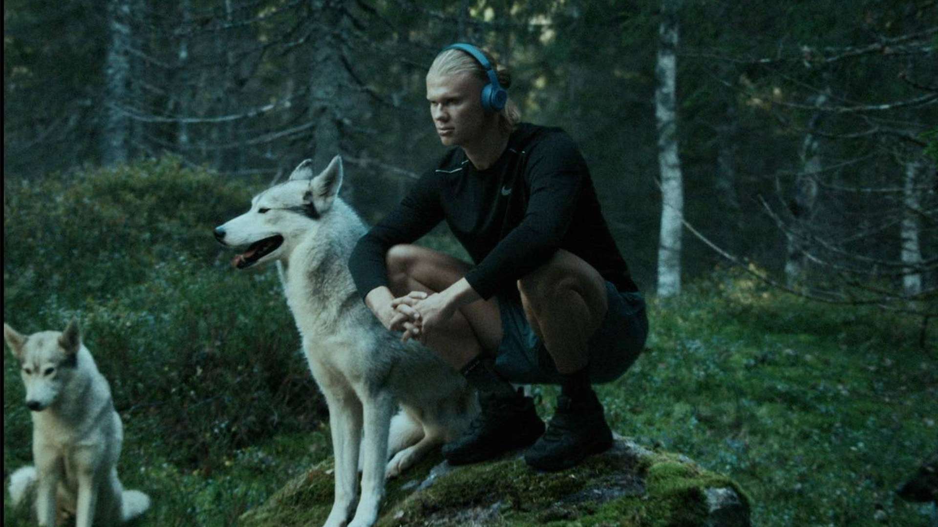 在英格拉姆 在英格拉姆