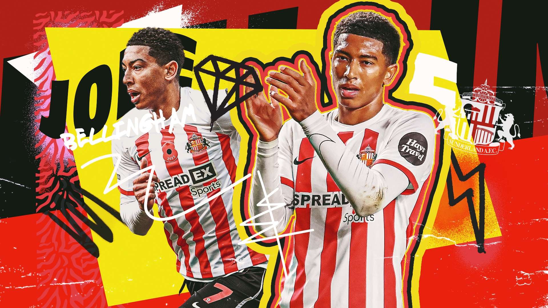 这种顽强的 这种顽强的